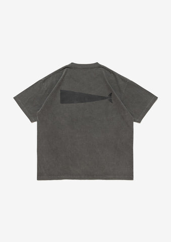 CACHALOT ORGANIC COTTON SS PIGMENT DYE
