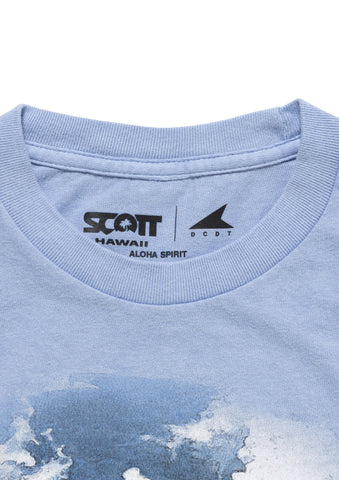 EDST SS PIGMENT DYE SCOTT HAWAII