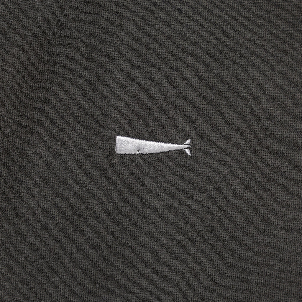 CACHALOT ORGANIC COTTON SS PIGMENT DYE