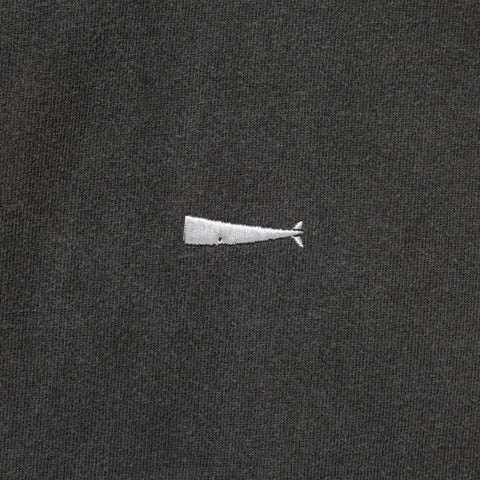 CACHALOT ORGANIC COTTON SS PIGMENT DYE