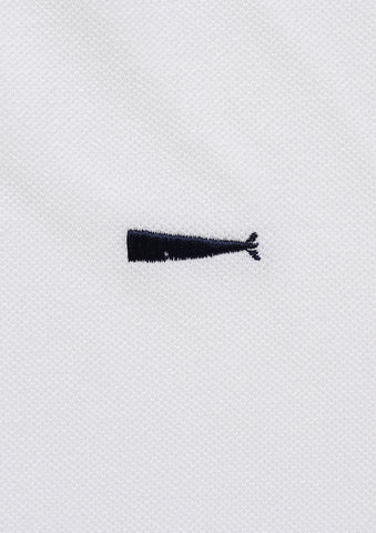 CACHALOT POLO SS