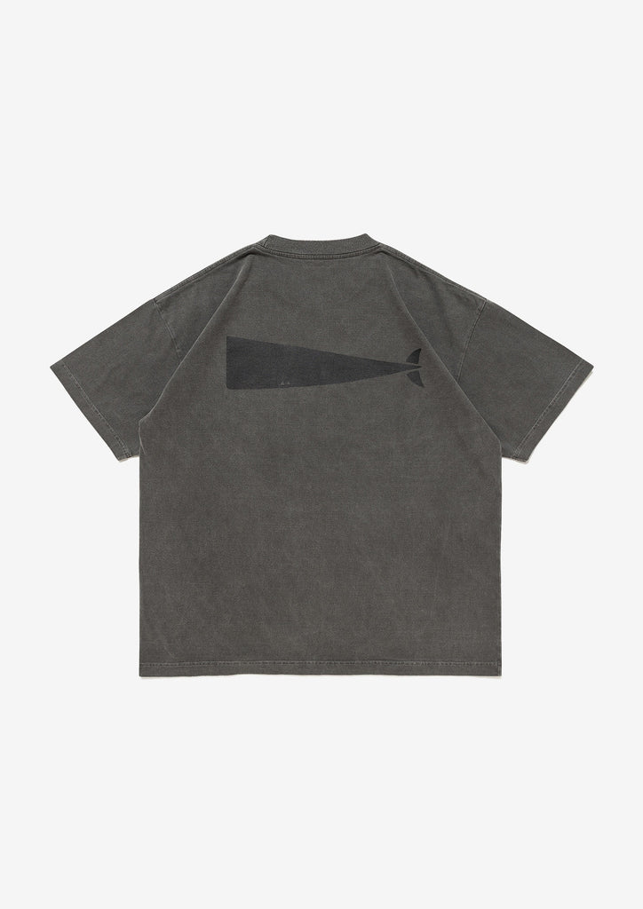 CACHALOT ORGANIC COTTON SS PIGMENT DYE