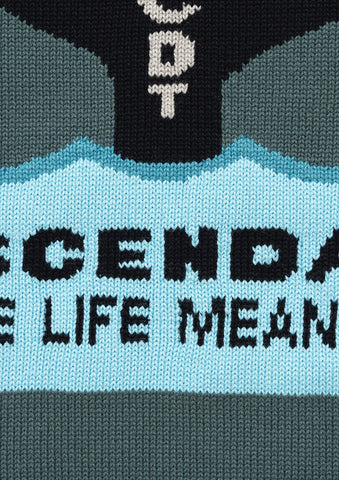 FLUKE UP CREW NECK KNIT