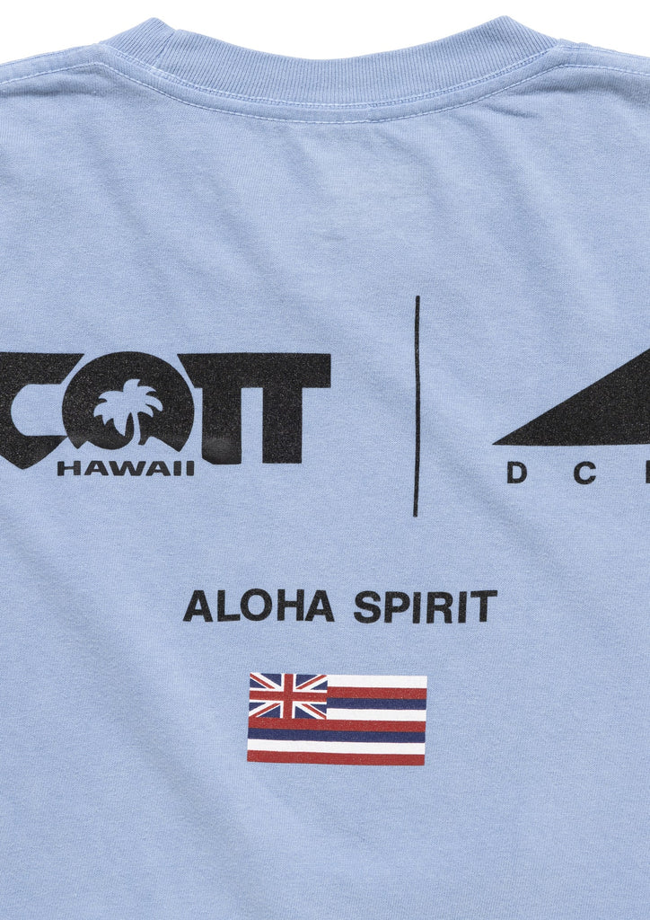 EDST SS PIGMENT DYE SCOTT HAWAII