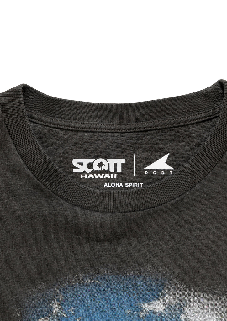EDST SS PIGMENT DYE SCOTT HAWAII
