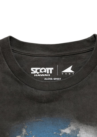 EDST SS PIGMENT DYE SCOTT HAWAII