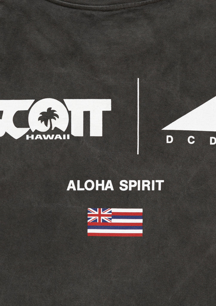 EDST SS PIGMENT DYE SCOTT HAWAII