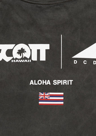 EDST SS PIGMENT DYE SCOTT HAWAII