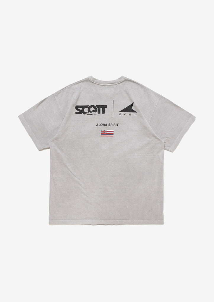 EDST SS PIGMENT DYE SCOTT HAWAII