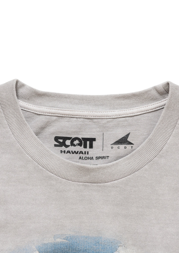EDST SS PIGMENT DYE SCOTT HAWAII