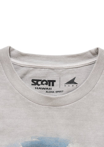 EDST SS PIGMENT DYE SCOTT HAWAII