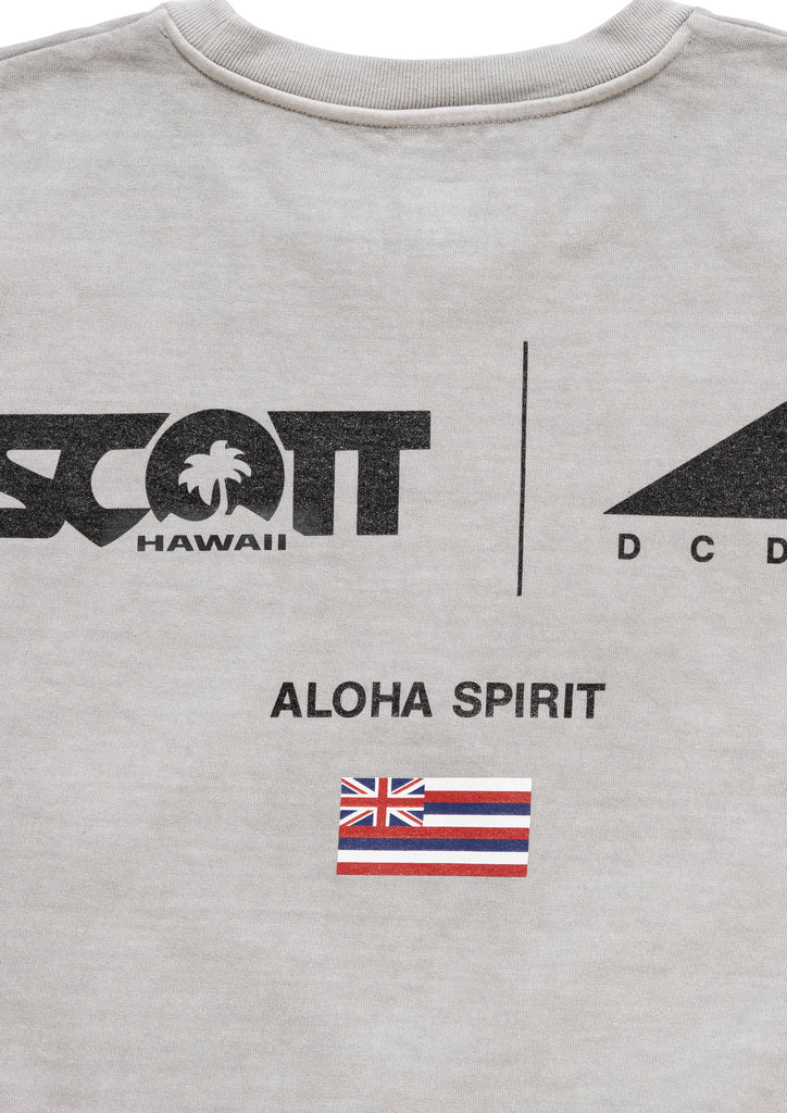 EDST SS PIGMENT DYE SCOTT HAWAII
